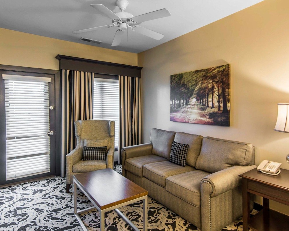 Deluxe Suite, 1 Bedroom, Non Smoking photo 3