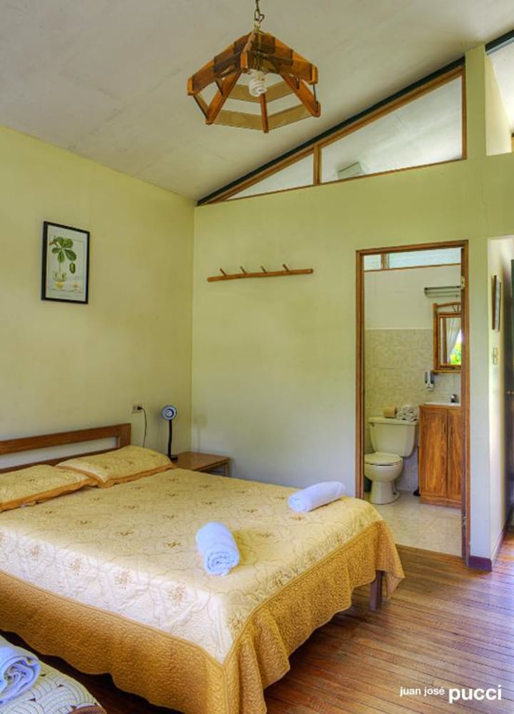 Standard Double or Twin Room, Garden View photo 2