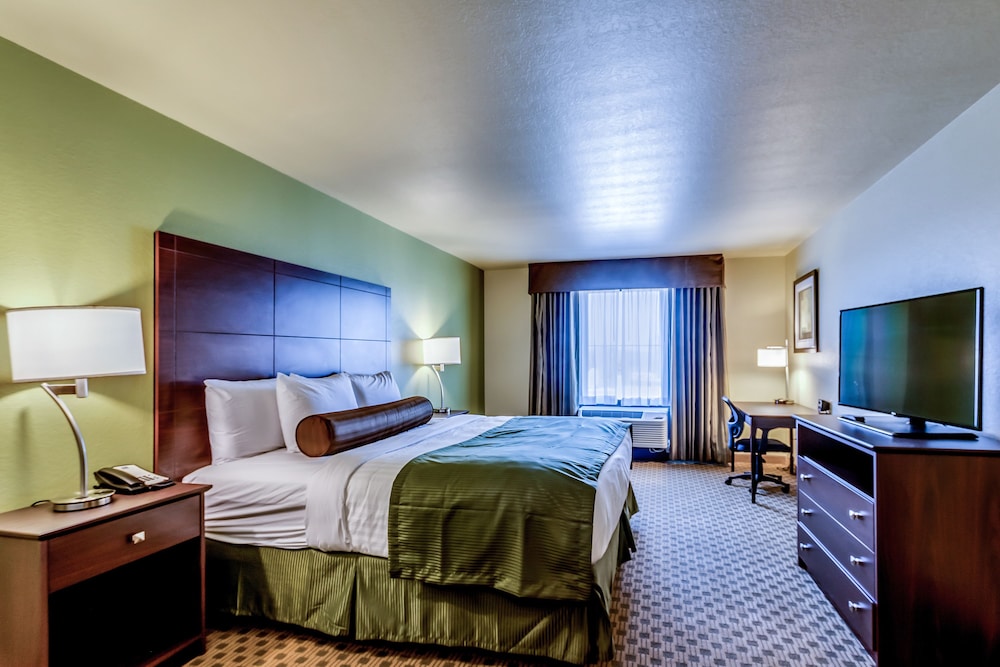 Room, 1 King Bed, Non Smoking photo 3