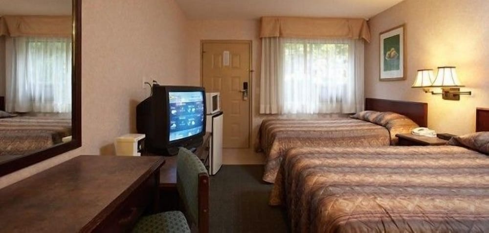 Standard Room, 2 Double Beds - Photo 5