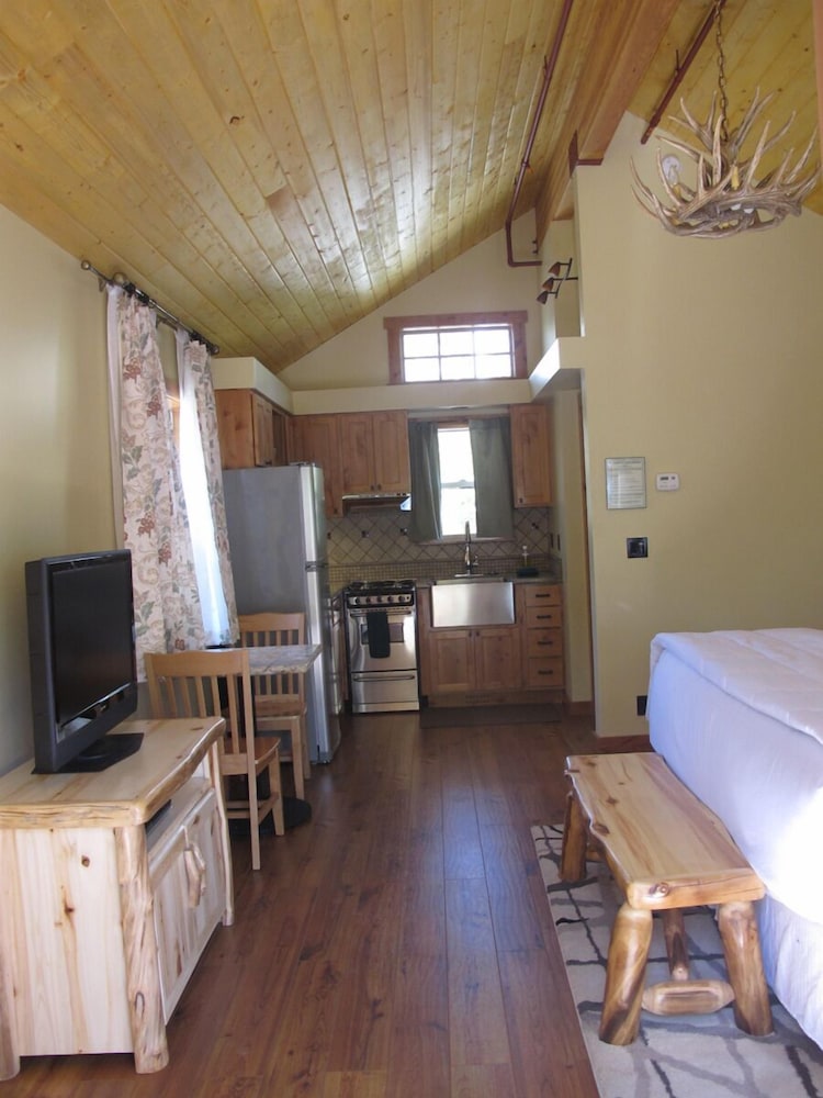 Deluxe Cabin (Brown) photo 2