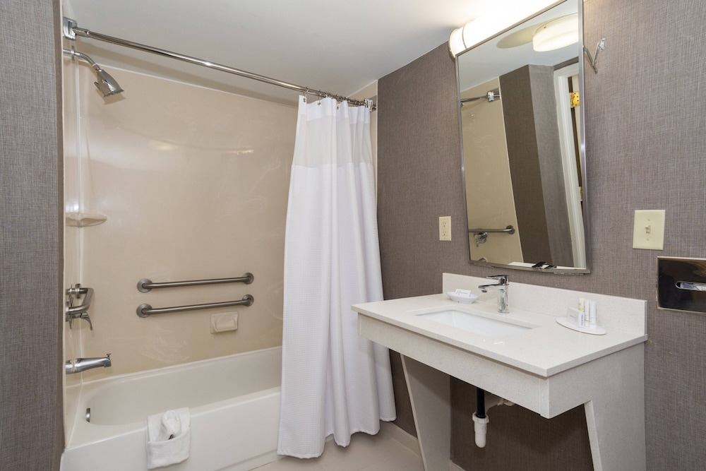 Studio Suite, 2 Queen Beds - Photo 5