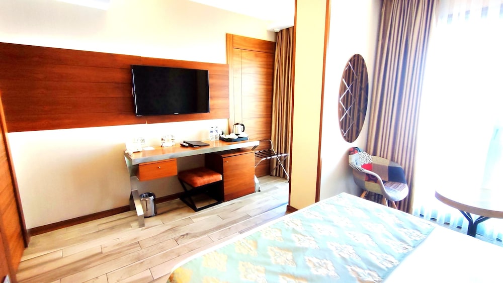 Standard Double or Twin Room photo 3