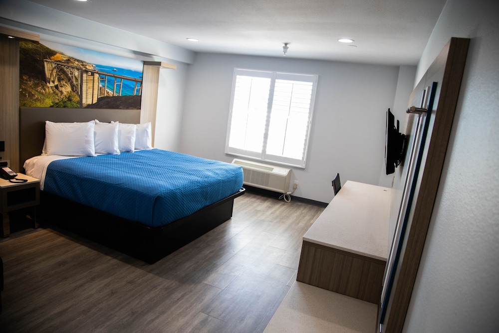Superior Single Room, 1 King Bed - Photo 3