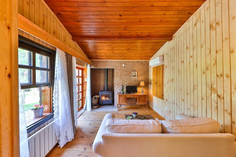 Raindance Suite photo 3