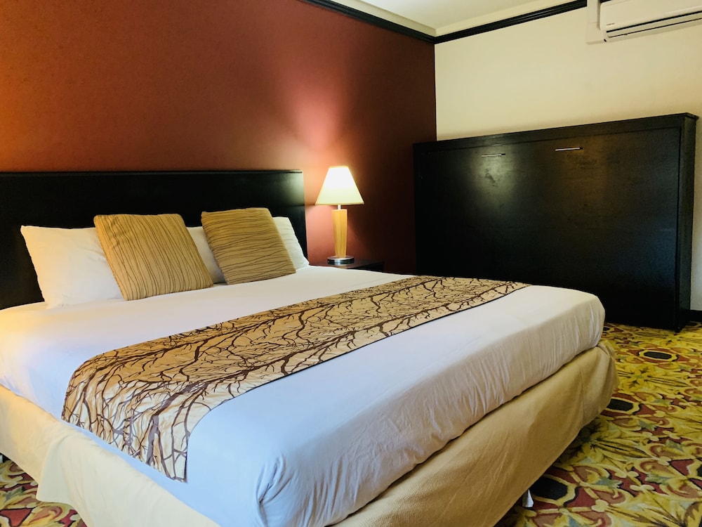 King Bed with Murphy Bed photo 2