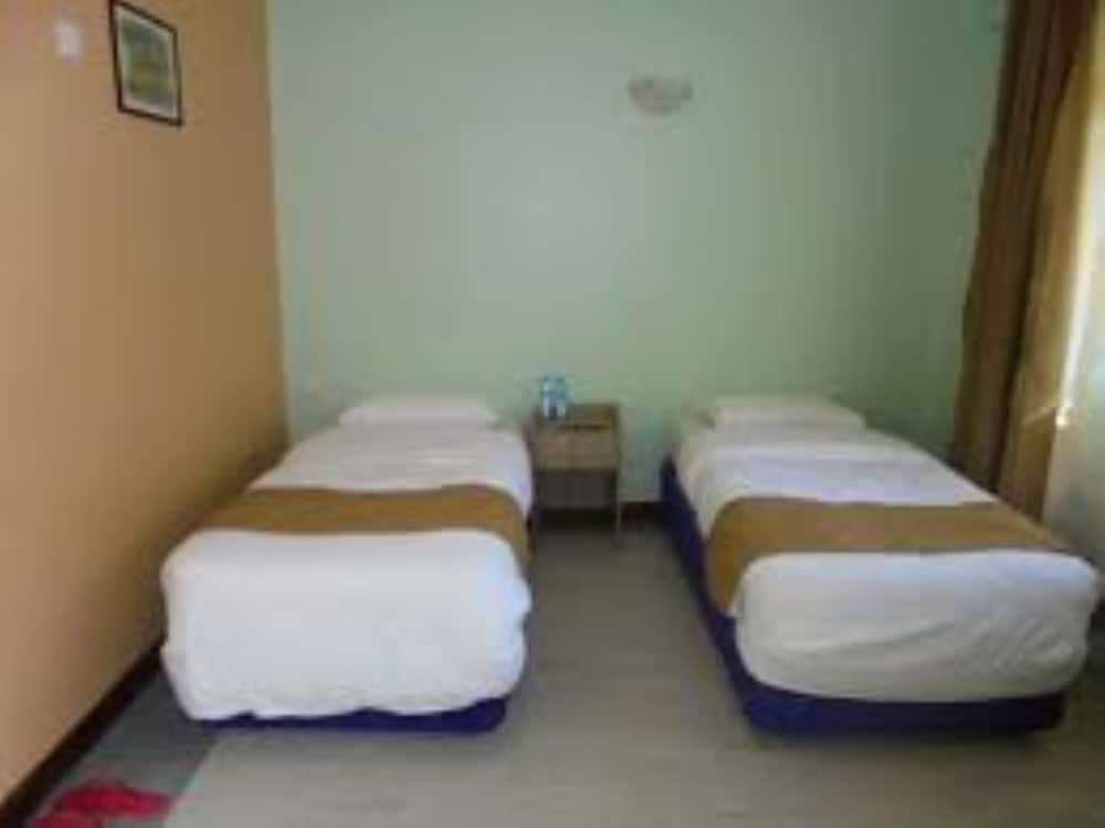 Twin Room photo 2