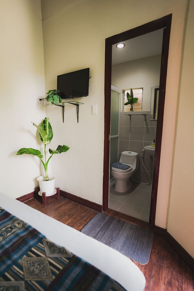 Deluxe Double or Twin Room photo 2