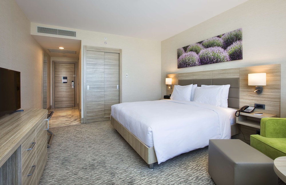 Room, 1 King Bed