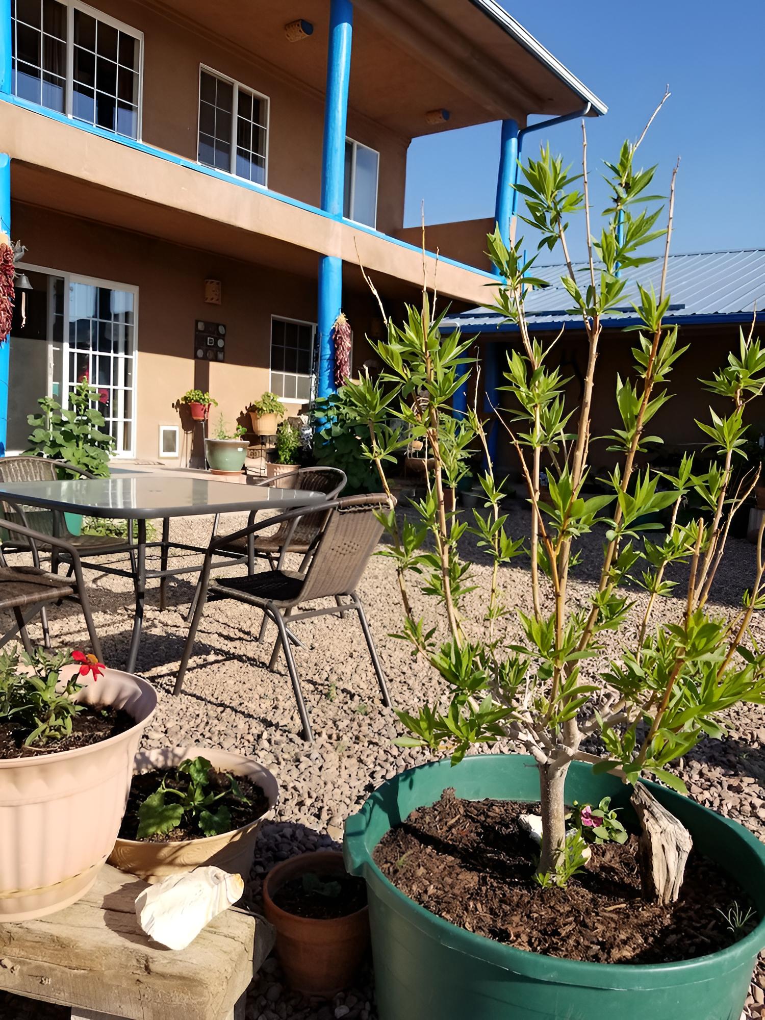 La Hacienda photo 1