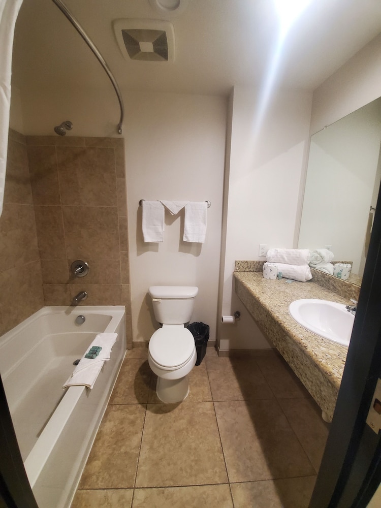 Classic Single Room, 1 King Bed - Photo 4