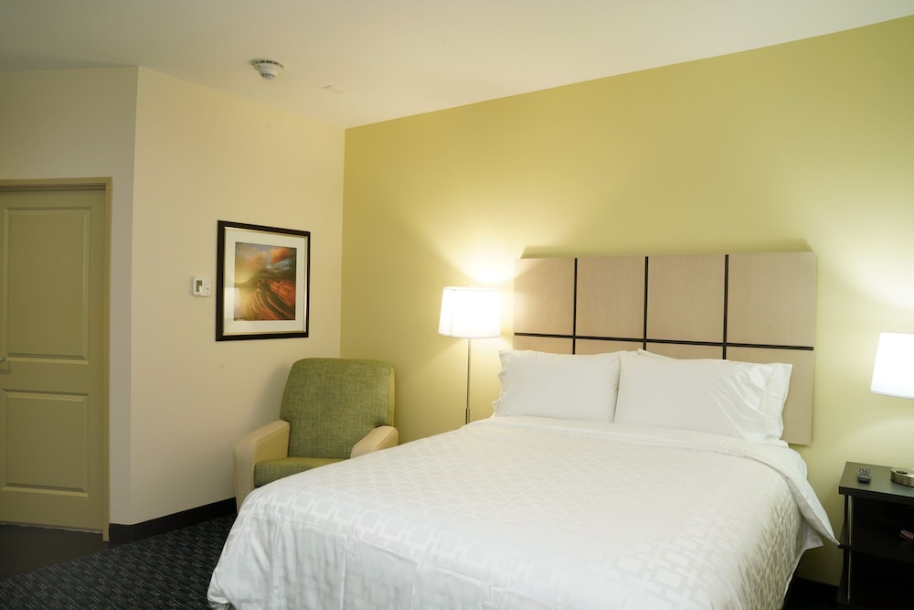 Studio Suite, 1 Queen Bed - Photo 6