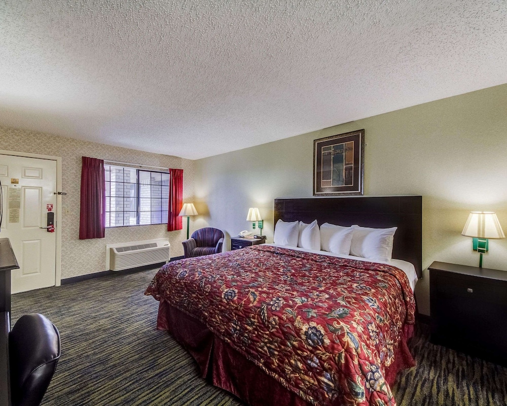 Standard Room, 1 King Bed, Smoking - Photo 4