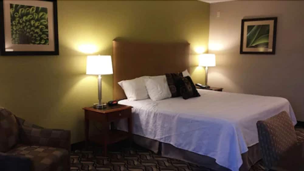 Standard Room, 1 King Bed - Photo 1