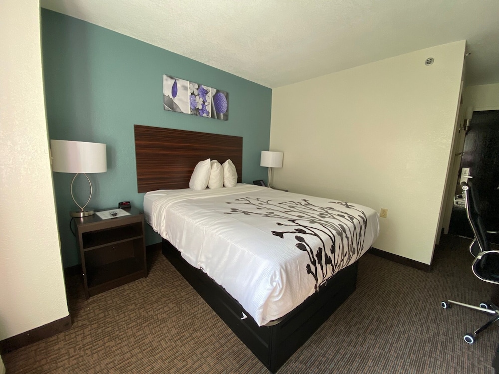 Standard Room, 1 Queen Bed, Non Smoking - Photo 2
