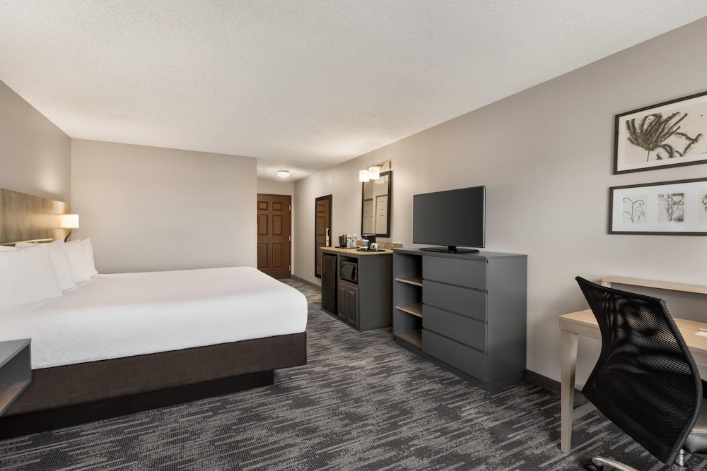 Room, 1 King Bed, Non Smoking photo 3