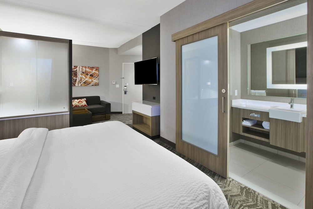 Studio, 1 King Bed with Sofa bed photo 3