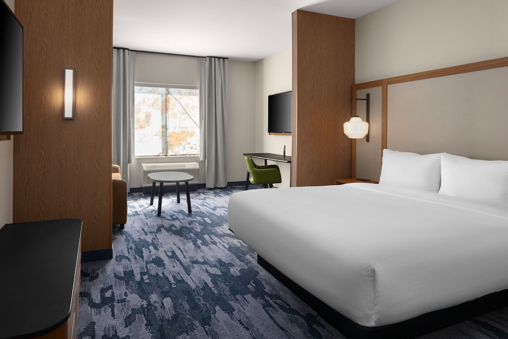 Suite, 1 King Bed with Sofa bed