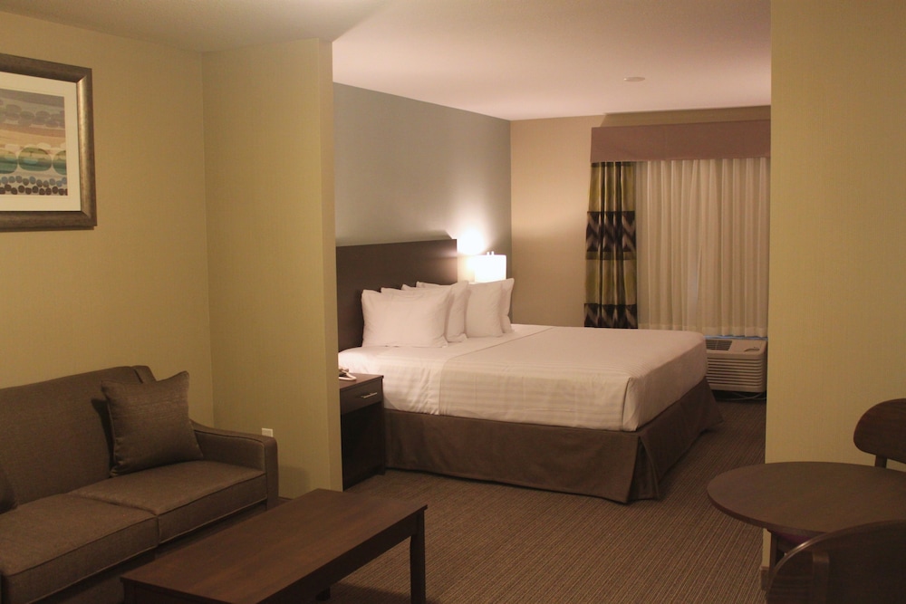 Studio Suite, 1 King Bed, Kitchenette