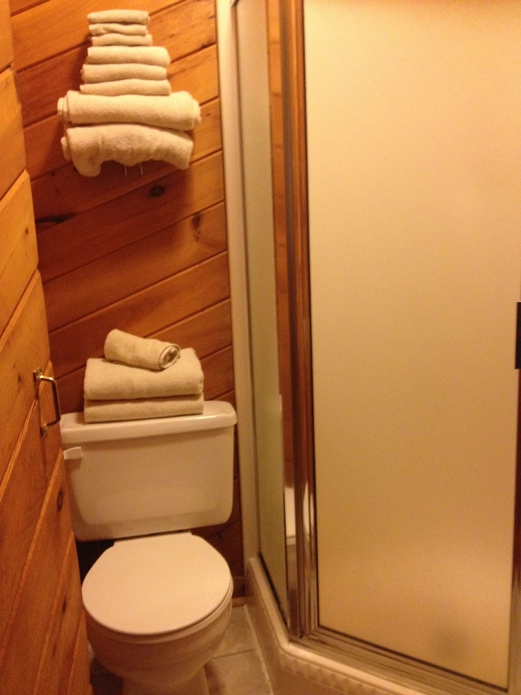 Standard Cabin, Multiple Beds photo 2