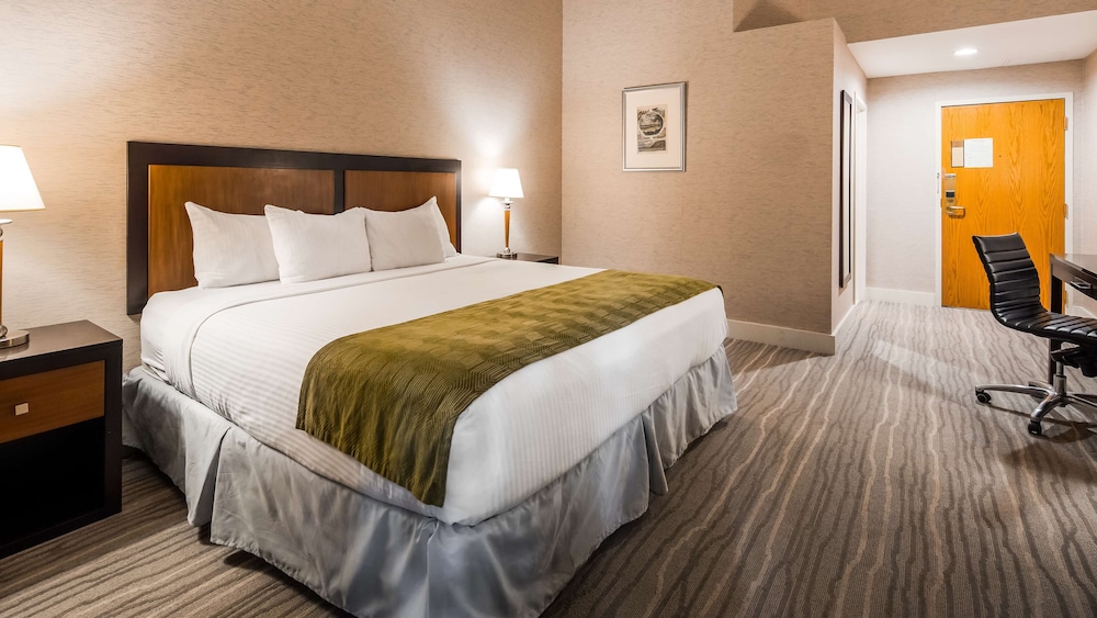 Suite, 1 King Bed, Non Smoking, Refrigerator & Microwave (With Sofabed) photo 1