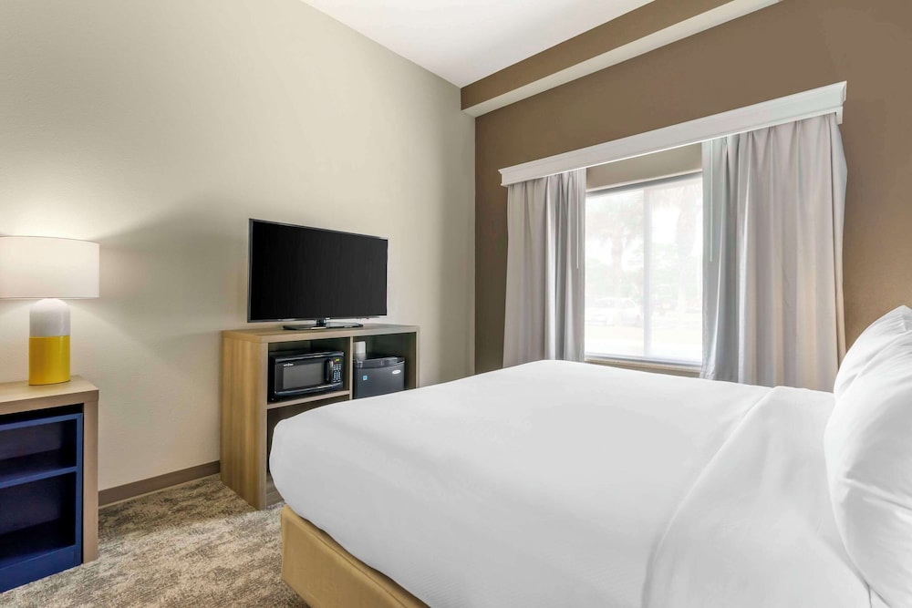 Suite, 1 King Bed with Sofa bed, Accessible, Non Smoking photo 3