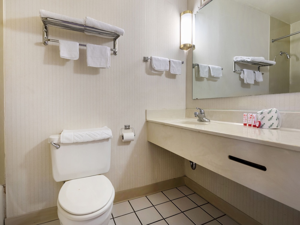Classic Twin Room, Multiple Beds - Photo 11