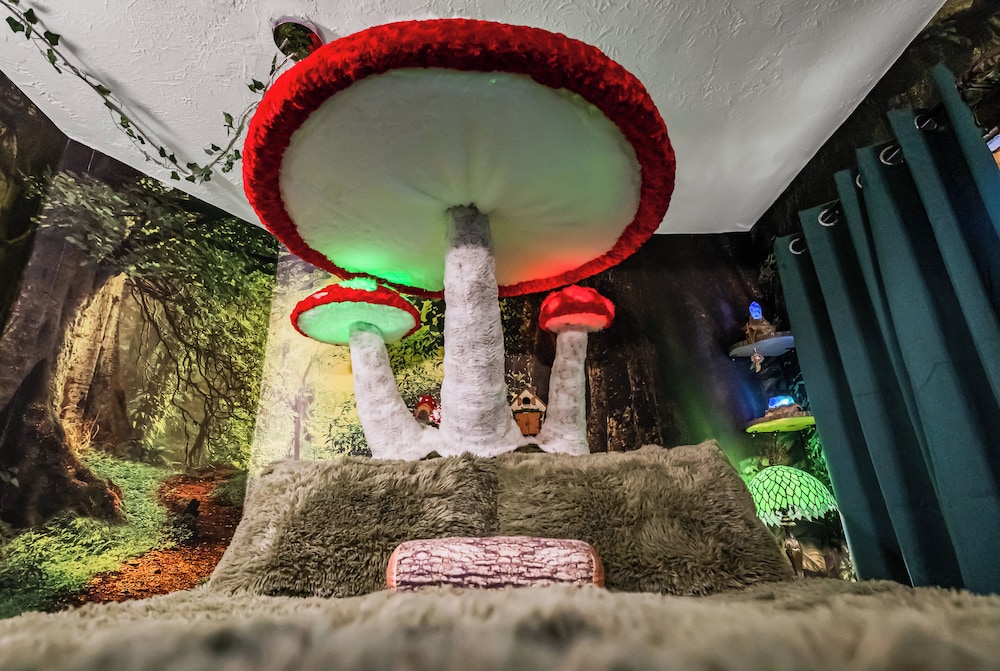 Enchanted Forest photo 2
