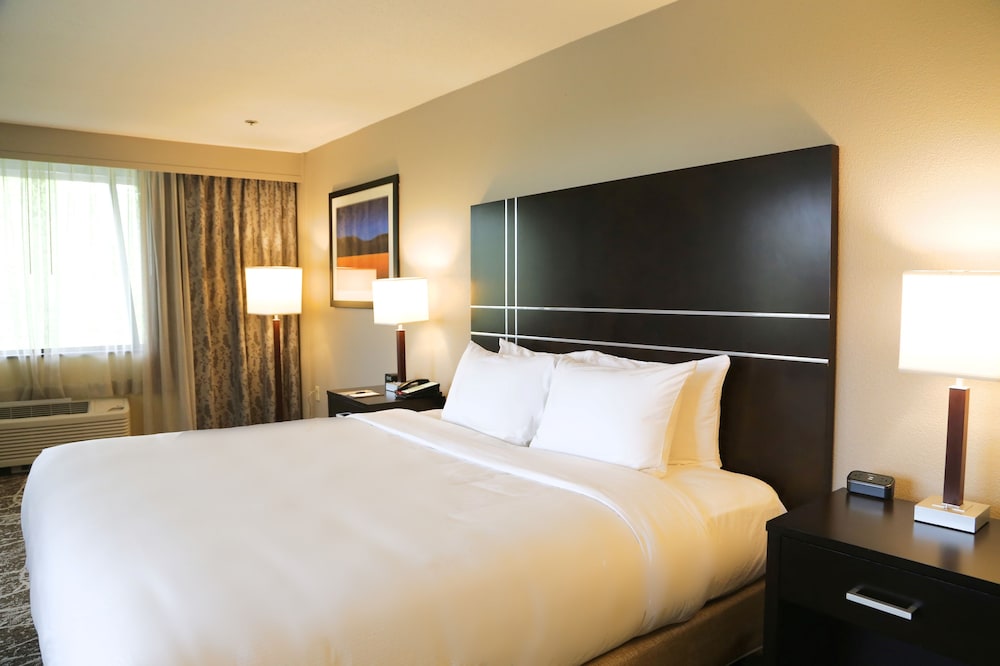 Room, 1 King Bed, Accessible - Photo 1