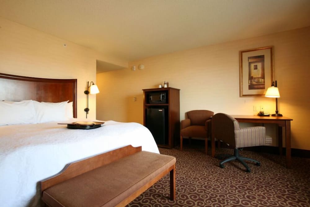 Room, 1 King Bed, Accessible photo 2