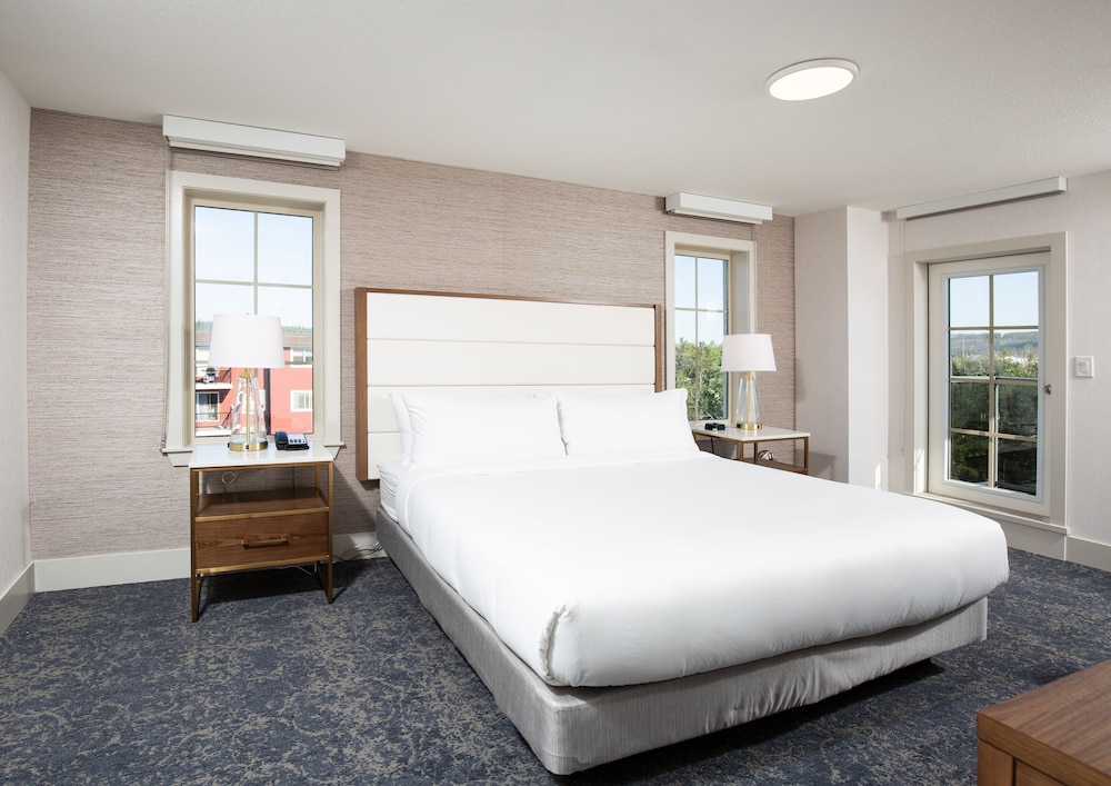 Premium Suite, 1 King Bed with Sofa bed, Kitchen photo 1