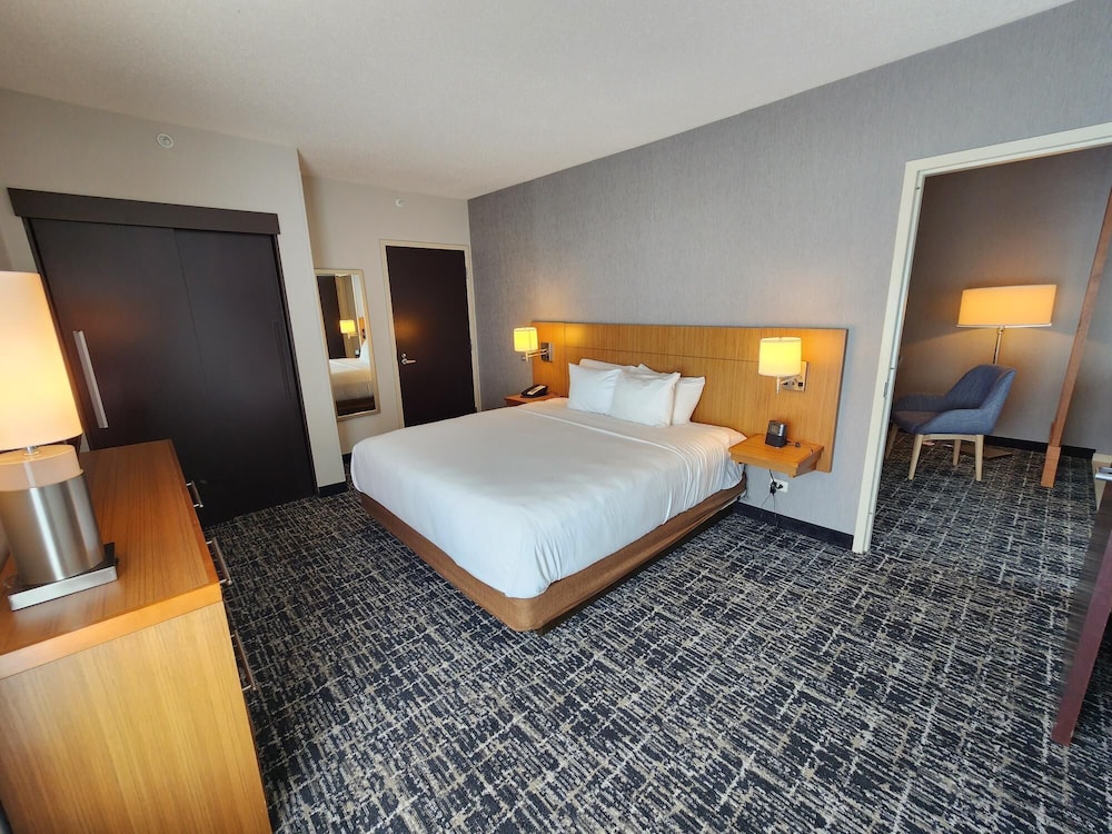 Suite, 1 King Bed photo 2