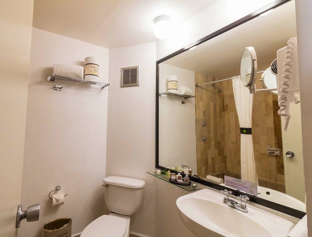 Room (Dog Friendly) photo 3