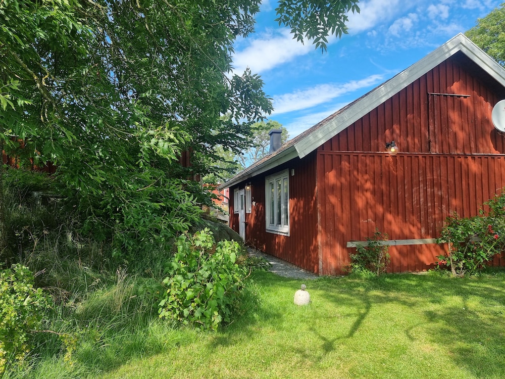 Standard Cabin photo 1