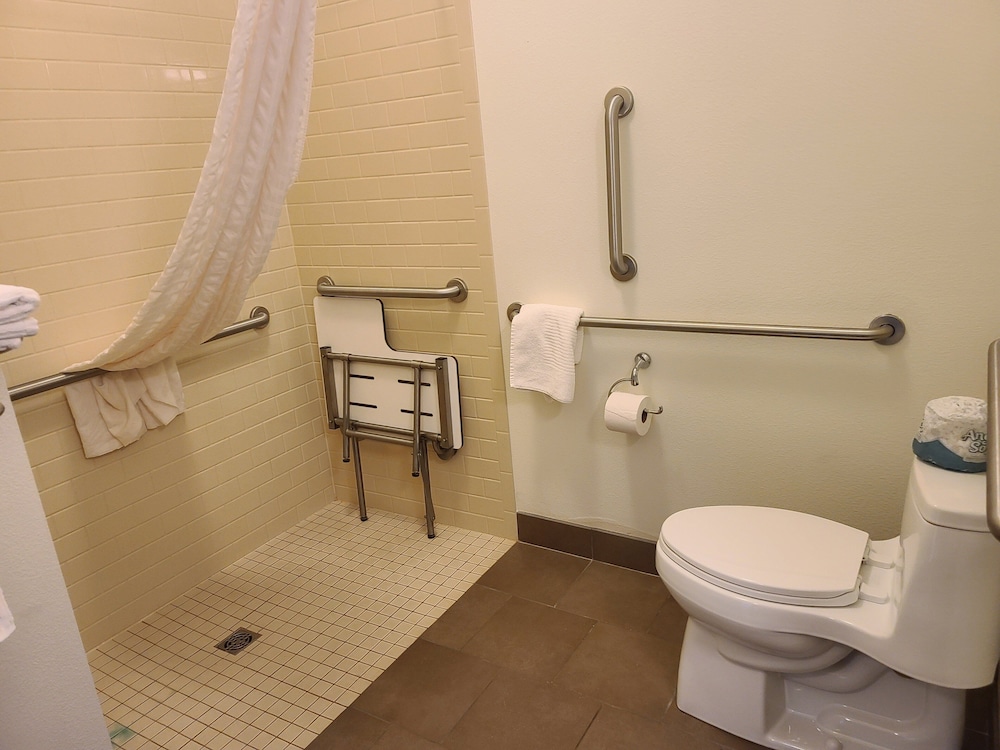 Studio Suite, 1 King Bed, Accessible (Comm) photo 3
