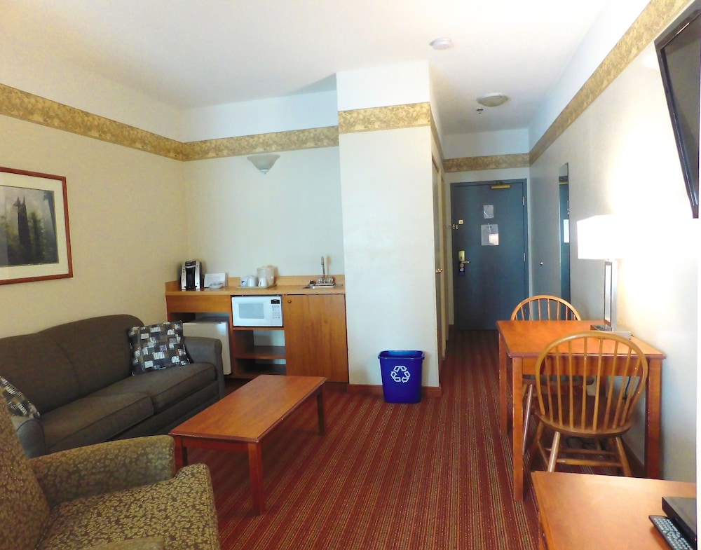 Suite, 1 Bedroom, Living Room with Double Sofa Bed