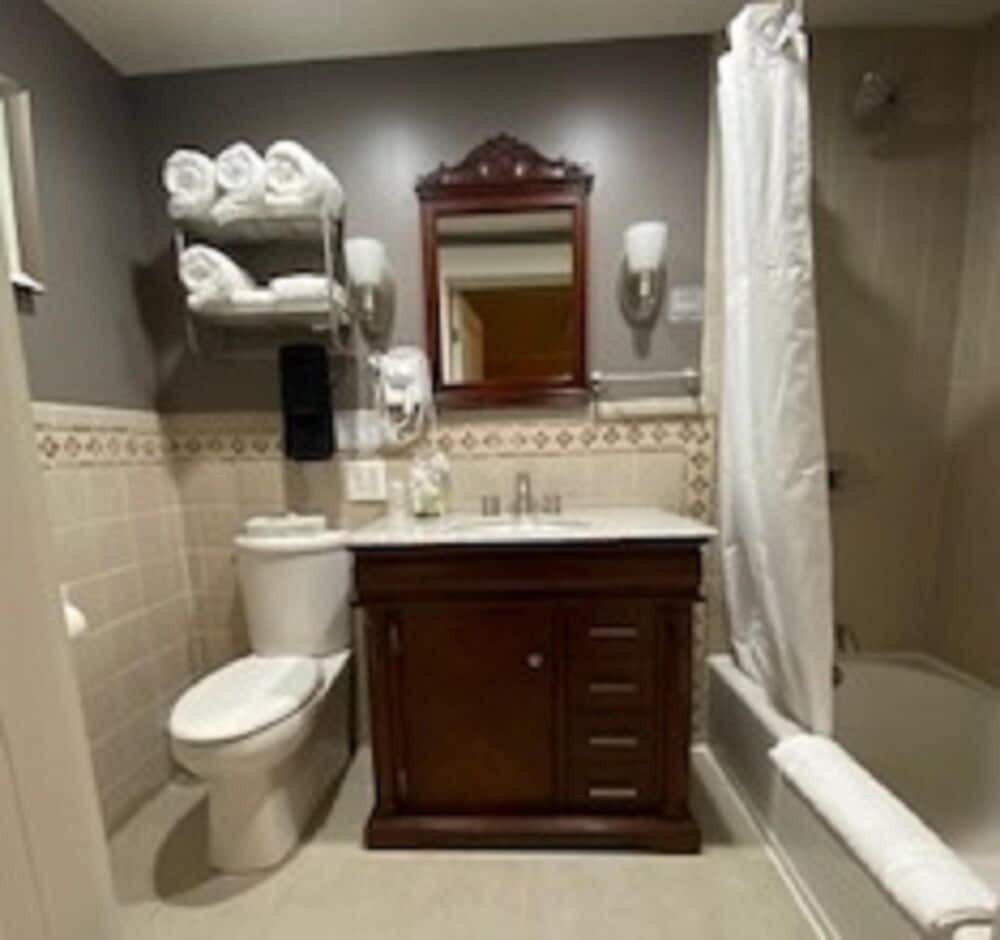 Classic Room, 1 King Bed, Refrigerator & Microwave photo 3