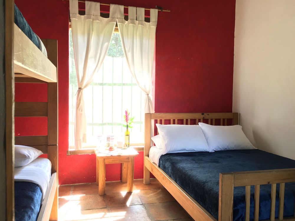 Standard Quadruple Room, 1 Bedroom, Garden View photo 1