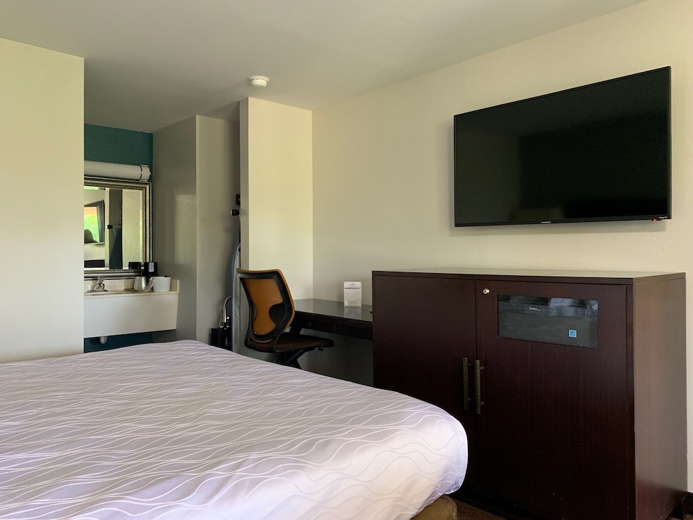Standard Room, 1 King Bed - Photo 1