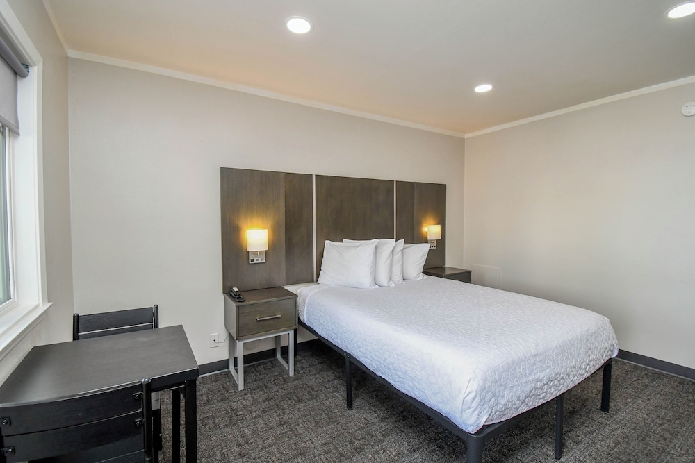 Single Room photo 1