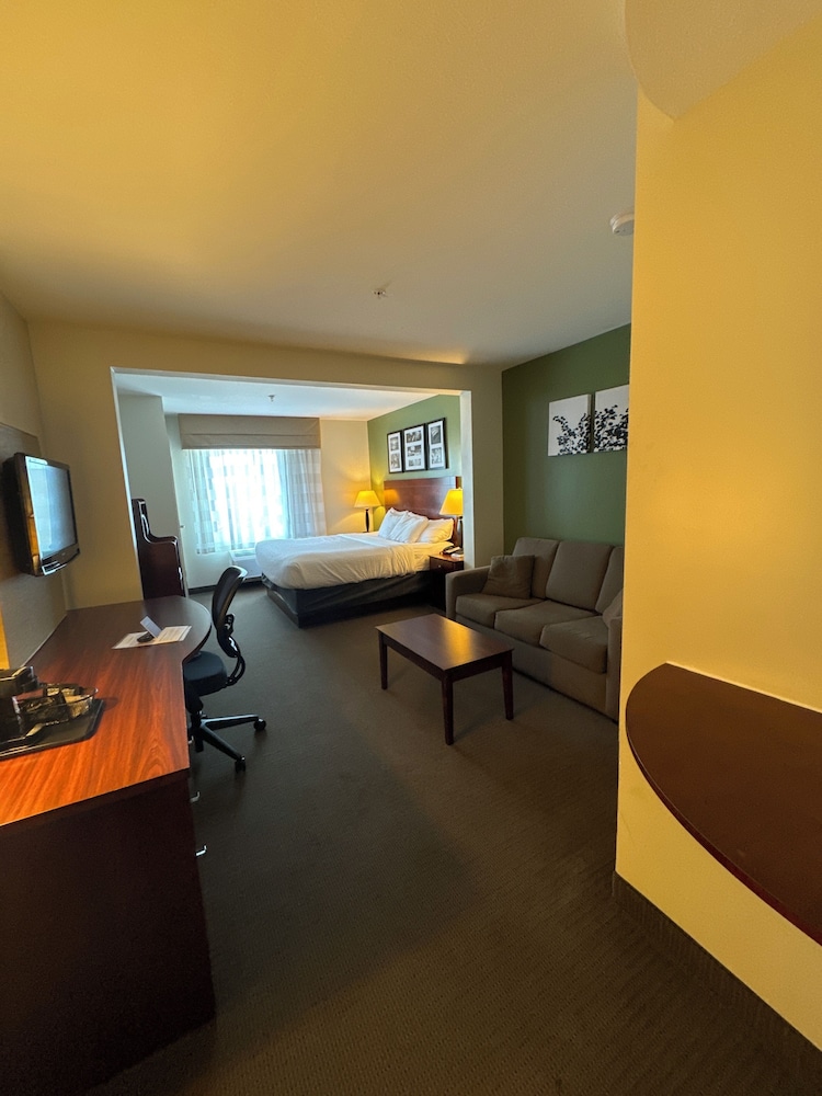 Suite, Non Smoking photo 1