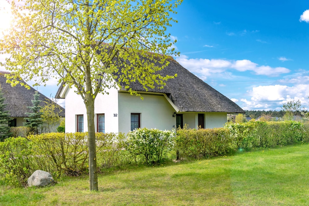 Cottage, Kitchen (TYP A)