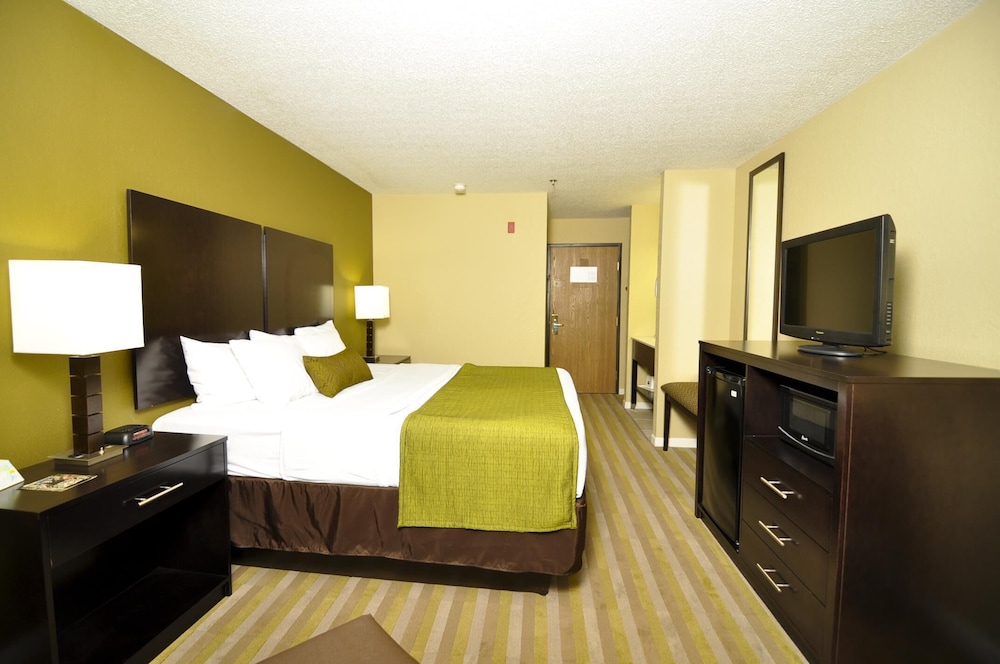 Standard Room, 1 King Bed, Accessible, Non Smoking photo 2