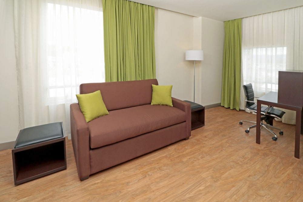 Suite, 1 Bedroom, Kitchen (Single Sofa) photo 3