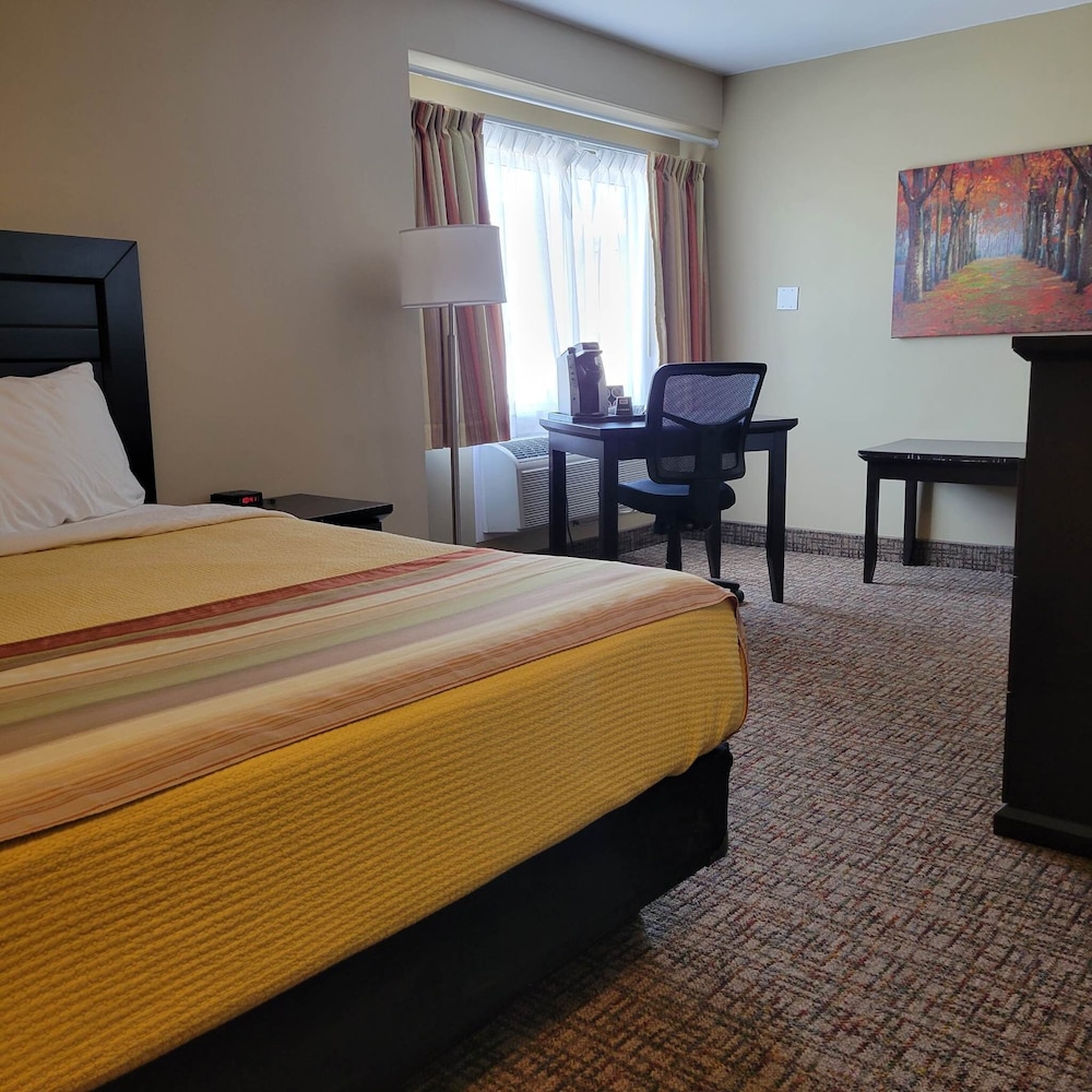 Business Suite photo 1
