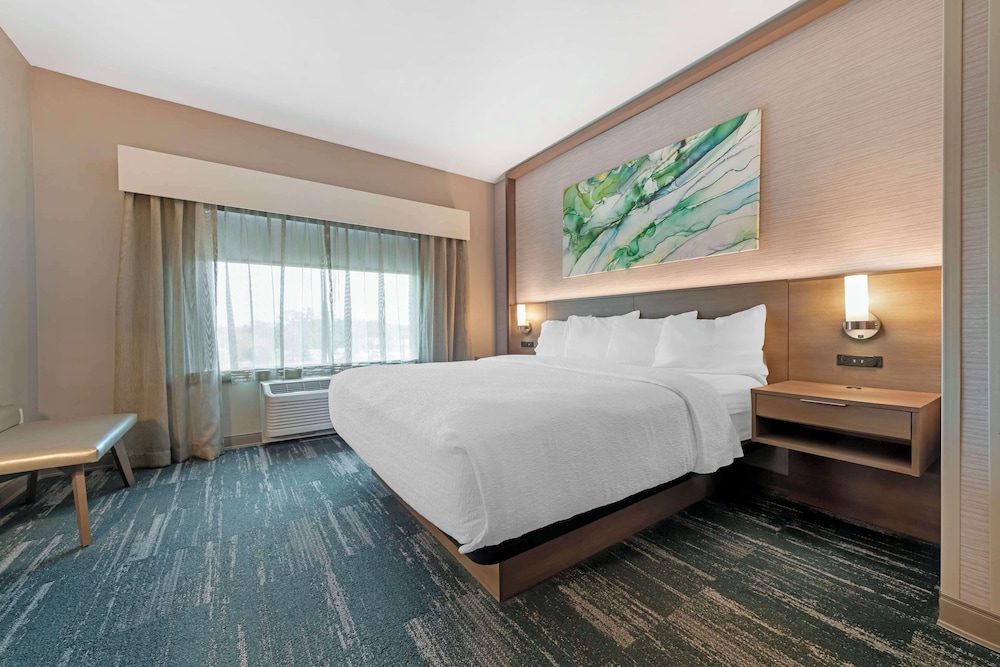 Suite, 1 King Bed, Non Smoking (with Sofabed) - Photo 4