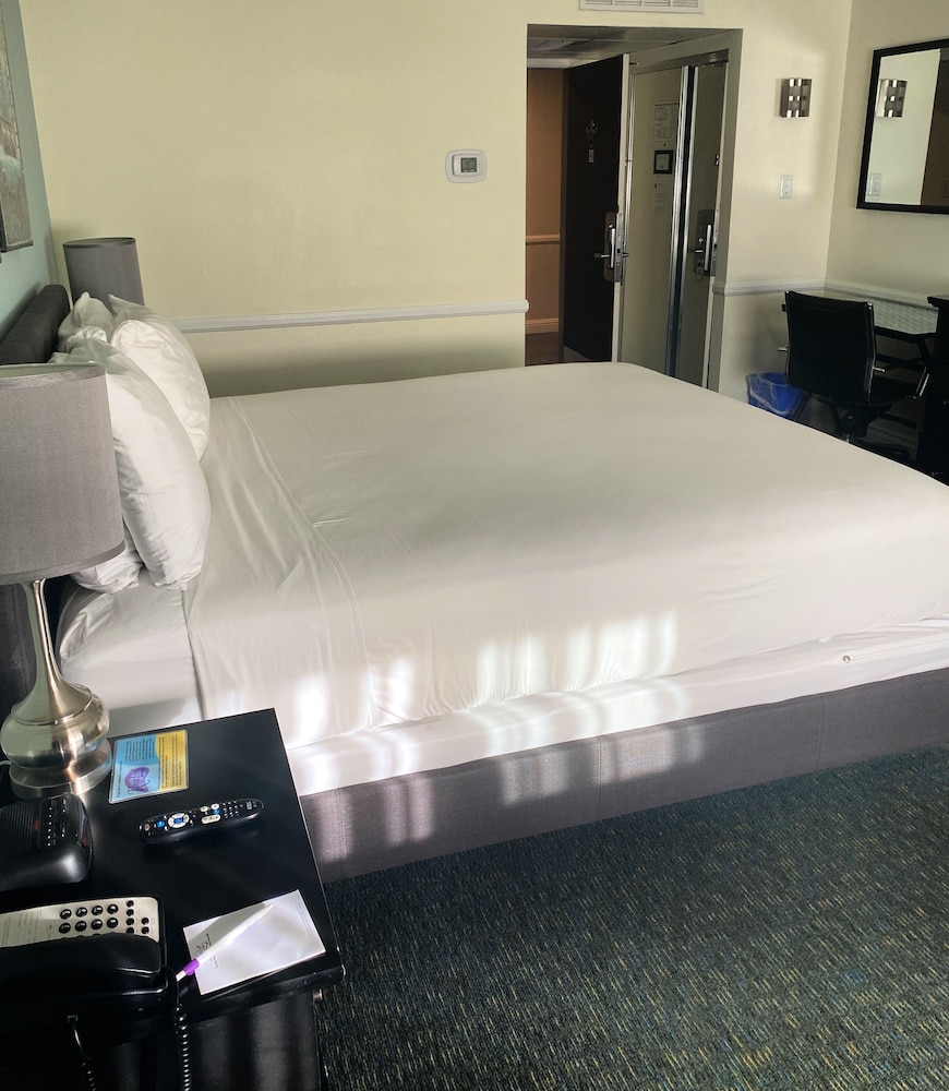 Superior Room, 1 King Bed, Executive Level - Photo 3