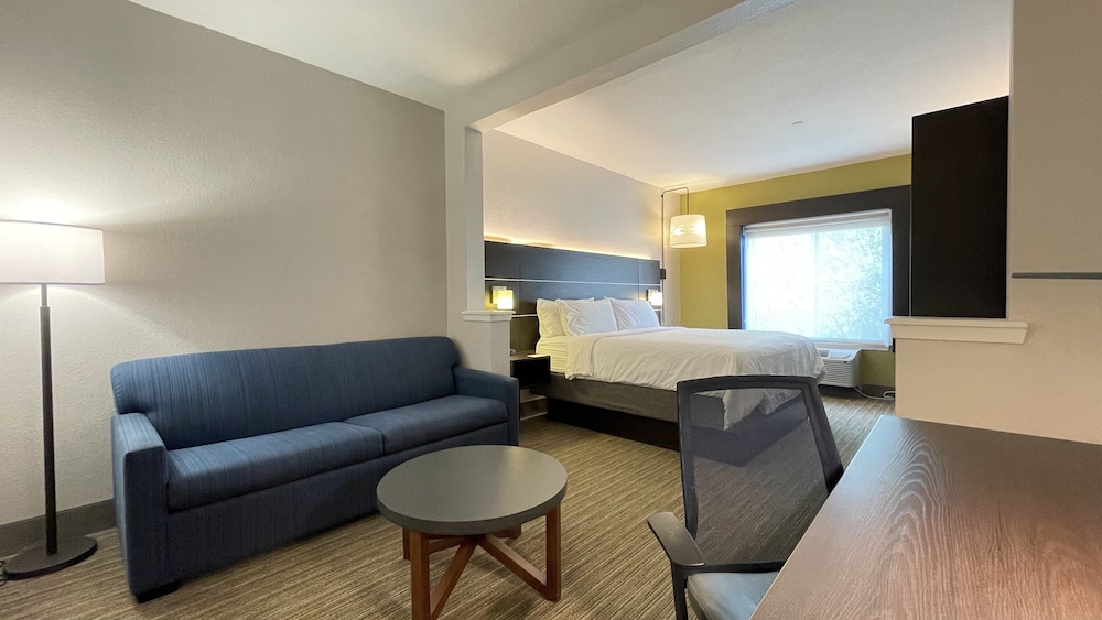 Suite, 1 King Bed - Photo 1