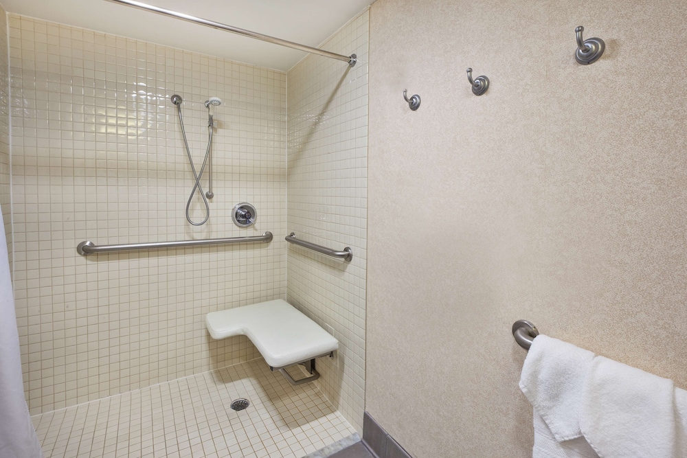 Room, 1 King Bed, Accessible - Photo 4