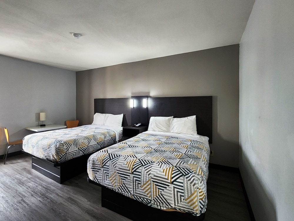 Deluxe Suite, Multiple Beds, Non Smoking, Refrigerator & Microwave - Photo 5